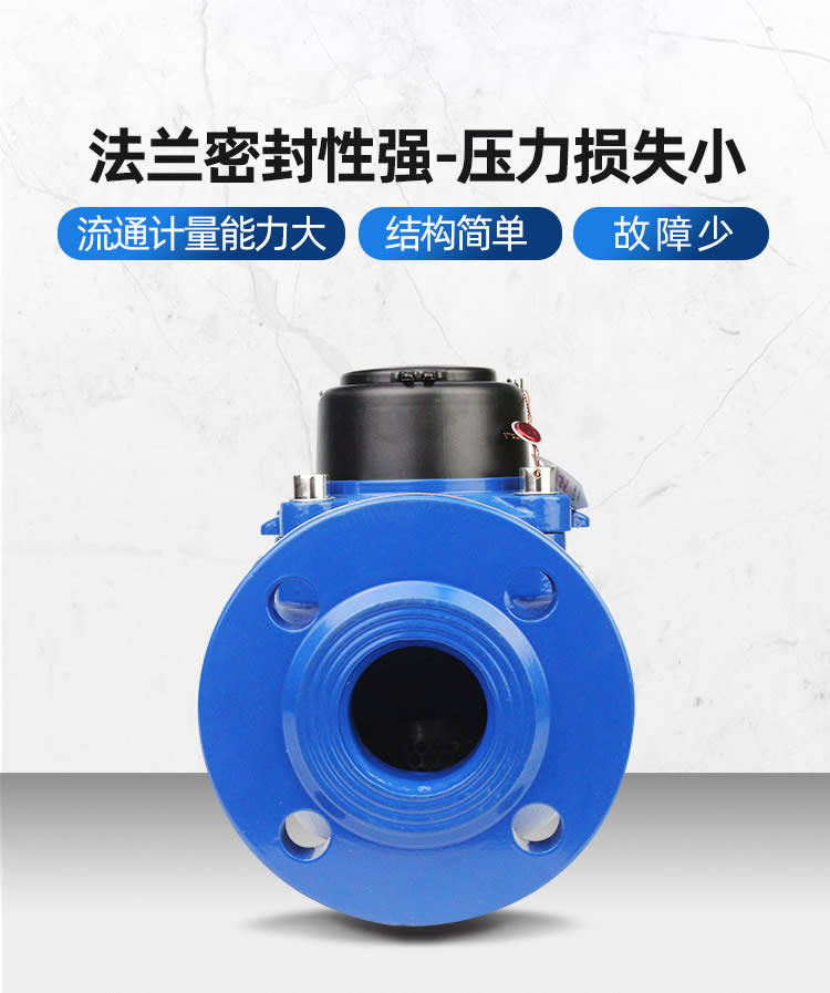 NB遠(yuǎn)傳WS垂直螺翼式冷水表